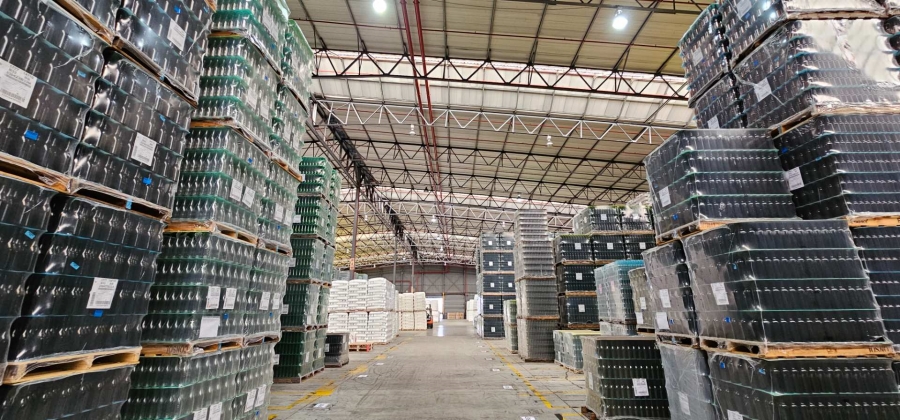 To Let commercial Property for Rent in Parow Industrial Western Cape